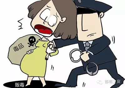 2016年初，涉縣警方查獲一起涉毒案件，鑒于該案涉案人員多、毒品交易量大，涉縣警方立即將案情上報(bào)，被公安部確立為“目標(biāo)-2016-314”號(hào)毒品案件。涉縣警方成立專(zhuān)案組，經(jīng)過(guò)多方追查，先后抓獲團(tuán)伙人員13名，繳獲毒品5349克，并查明上線“濮姐”的真實(shí)身份為陳某。